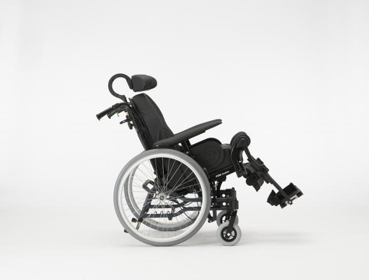 1737590073 Mpic016693 Azalea Cv31