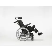 1737590073 Mpic016693 Azalea Cv31