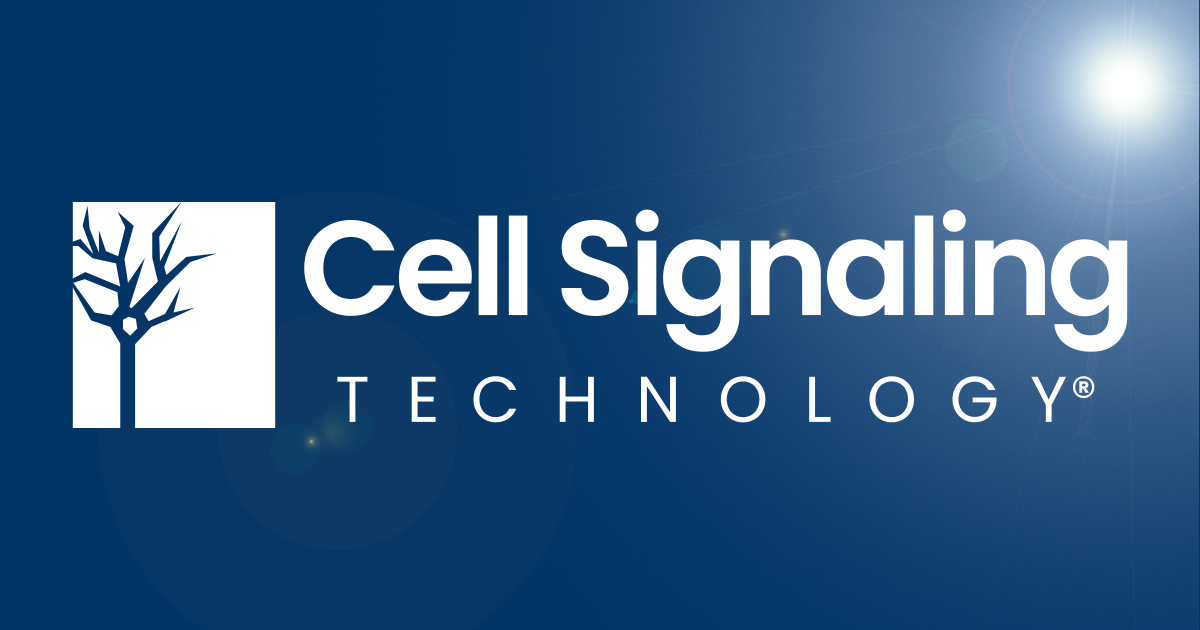 Cell Signaling