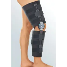 11Ea67b7 F5fd 4344 A559 7B1224d351d1