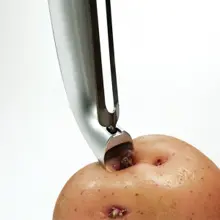 Swivelskrælari Kartöfluauga