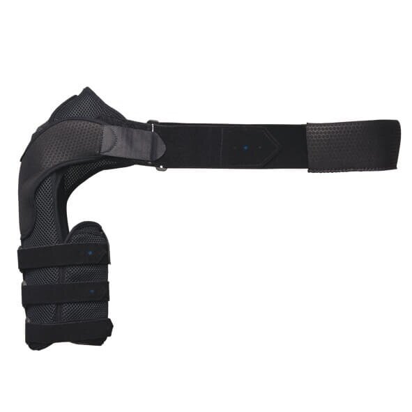 16E1d8ff 6C36 4F65 Beba 1E0d4240dab6