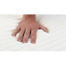 1737590073 MPIC013990 SFPREMVIS OF01