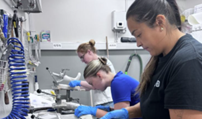 Fagfólk Að Störfum