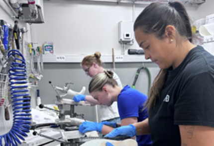 Fagfólk Að Störfum